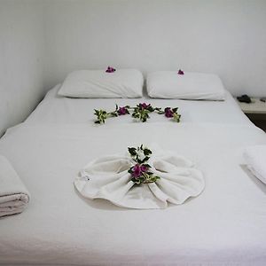 Standaard Kamer met een King Size Bed